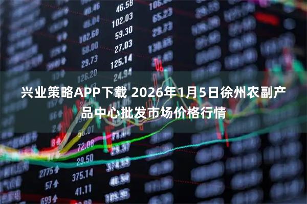 兴业策略APP下载 2026年1月5日徐州农副产品中心批发市场价格行情