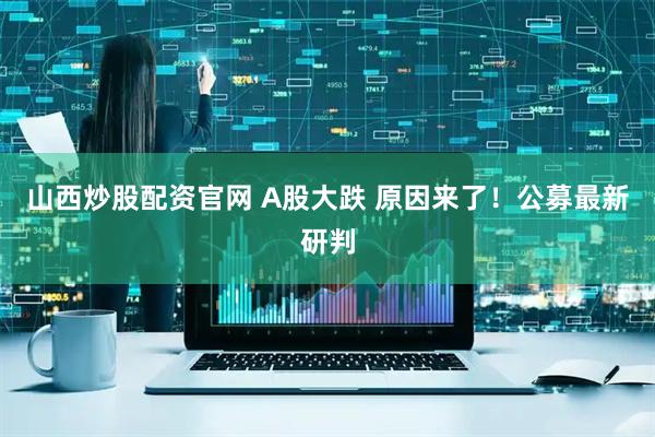 山西炒股配资官网 A股大跌 原因来了！公募最新研判